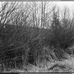 DSC6130-Pano : 617, Bile skaly, KodakTMAX100
