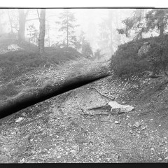 DSC6147-Pano : 617, Bile skaly, KodakTMAX100