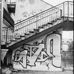 DSC6164 : Foma400, Mamiya7