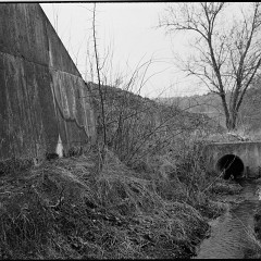 67-bw-2024-008-10 : 8:00min, IlfotecHC 1:31, KodakTMAX100, Medak