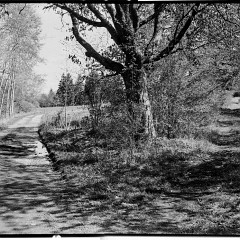 617-bw-2024-010-03 : 617, Foma400, HC 1:31, Myto