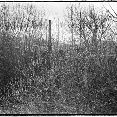 DSC8266-Pano : 7:30min, Delta 100, HC 1:47, Karez Borek, Mamiya7, Pano