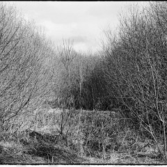 DSC8275-Pano : 7:30min, Delta 100, HC 1:47, Karez Borek, Mamiya7, Pano