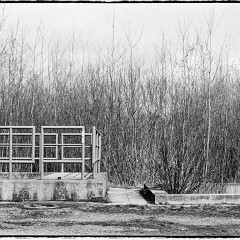 DSC8276-Pano : 7:30min, Delta 100, HC 1:47, Karez Borek, Mamiya7, Pano