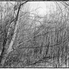 DSC8284-Pano : 7:30min, Delta 100, HC 1:47, Karez Borek, Mamiya7, Pano
