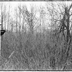 DSC8286-Pano : 7:30min, Delta 100, HC 1:47, Karez Borek, Mamiya7, Pano