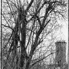 DSC8288-Pano : 7:30min, Delta 100, HC 1:47, Karez Borek, Mamiya7, Pano