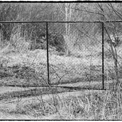 DSC8294-Pano : 7:30min, Delta 100, HC 1:47, Maly Ujezd, Mamiya7, Pano