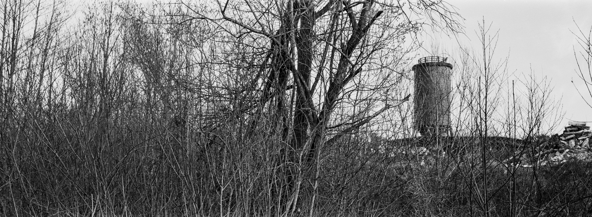 67pan-bw-2024-012-02