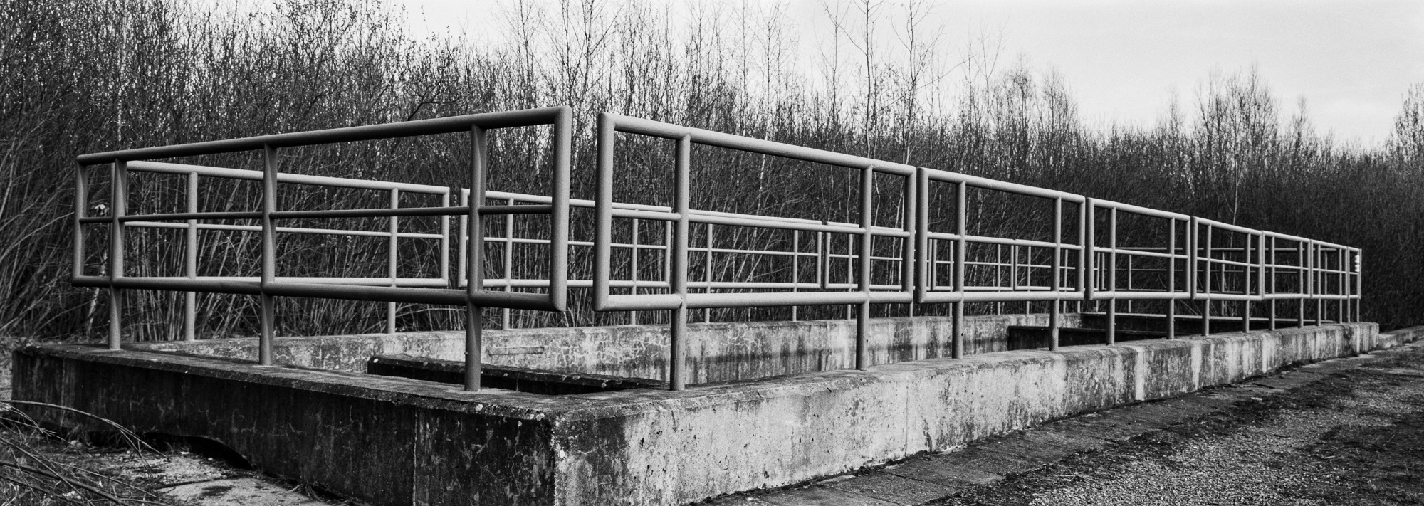 67pan-bw-2024-012-08