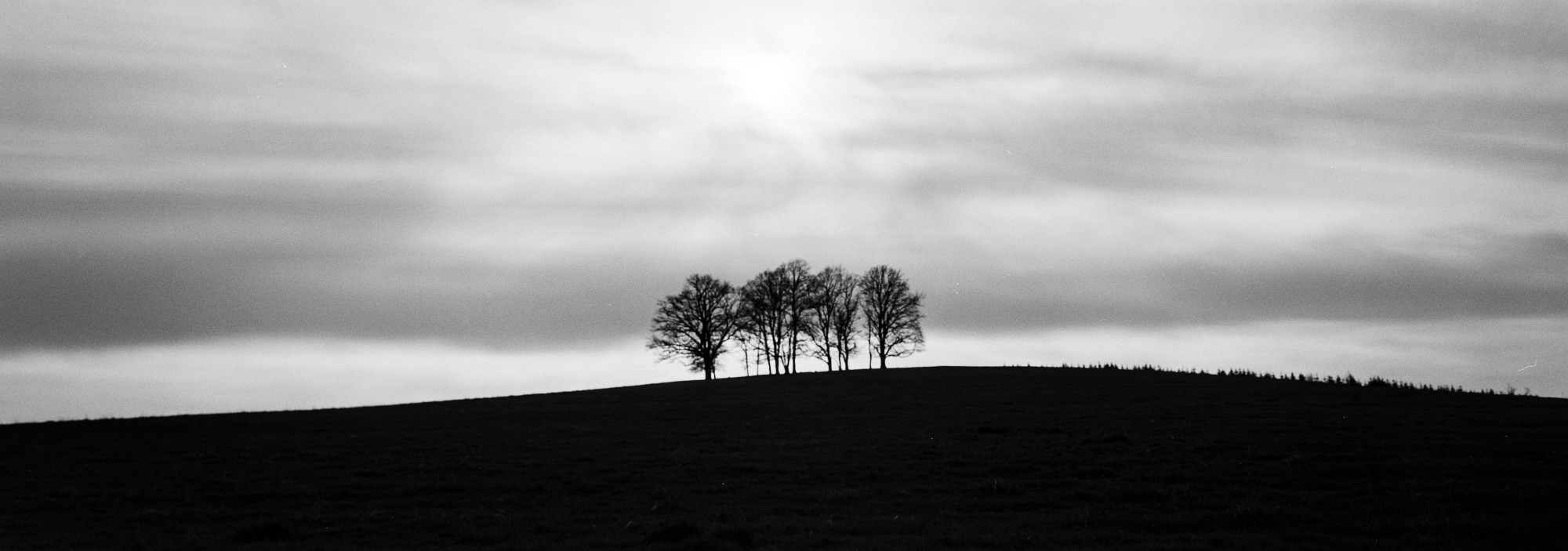 67pan-bw-2024-012-11