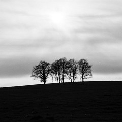 67pan-bw-2024-012-11 : 7:00, Delta 100, HC 1:47, Mamiya7