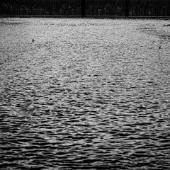 2023-06-23-10636 1 : Naplavka, Laskyplno, Plzen