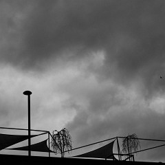 2023-06-23-10642 1 : Naplavka, Laskyplno, Plzen