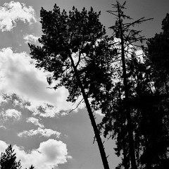 2020-06-02-05709 : Kion