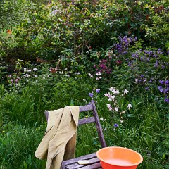 2020-06-02-05726 : Nab