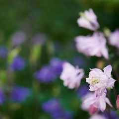 2020-06-02-05732 : Nab