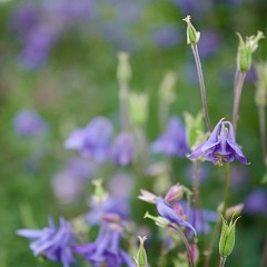 2020-06-02-05734 : Nab