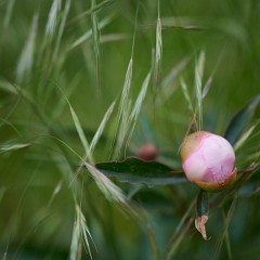 2020-06-02-05738 : Nab