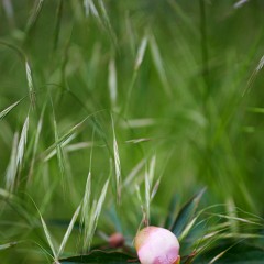 2020-06-02-05739 : Nab