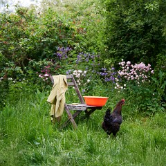 2020-06-02-05743 : Nab