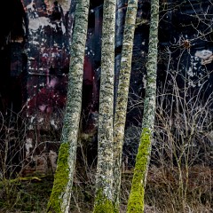 2013-12-29-0080 : sv. Jan