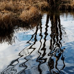 2013-12-29-0196 : sv. Jan