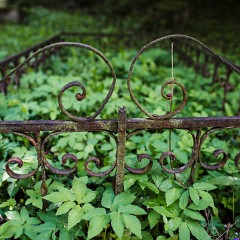 2014-08-03-0569 : Kasperske Hory, Rodina, kostel sv. Morice