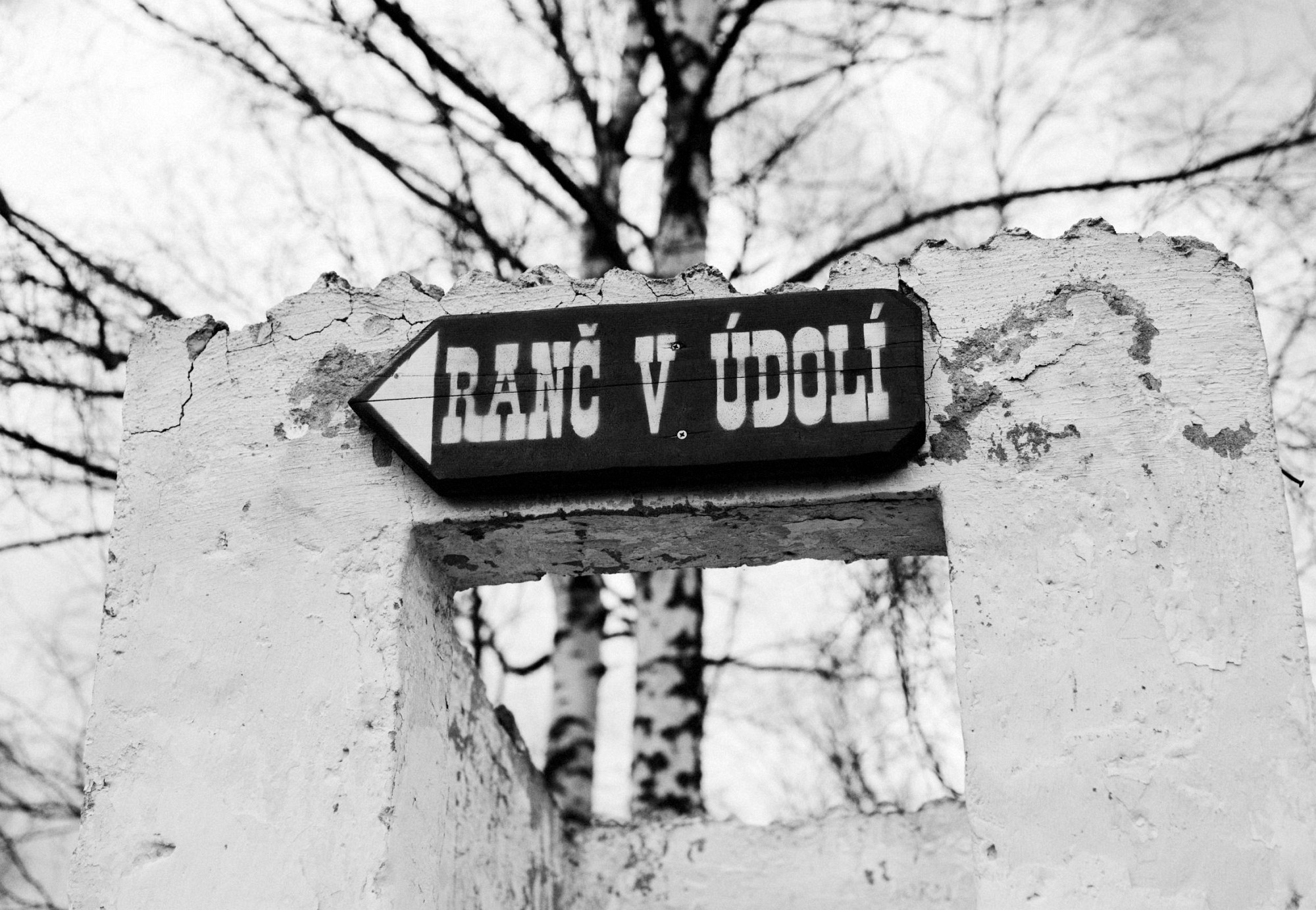 2018-04-01-00629-alb