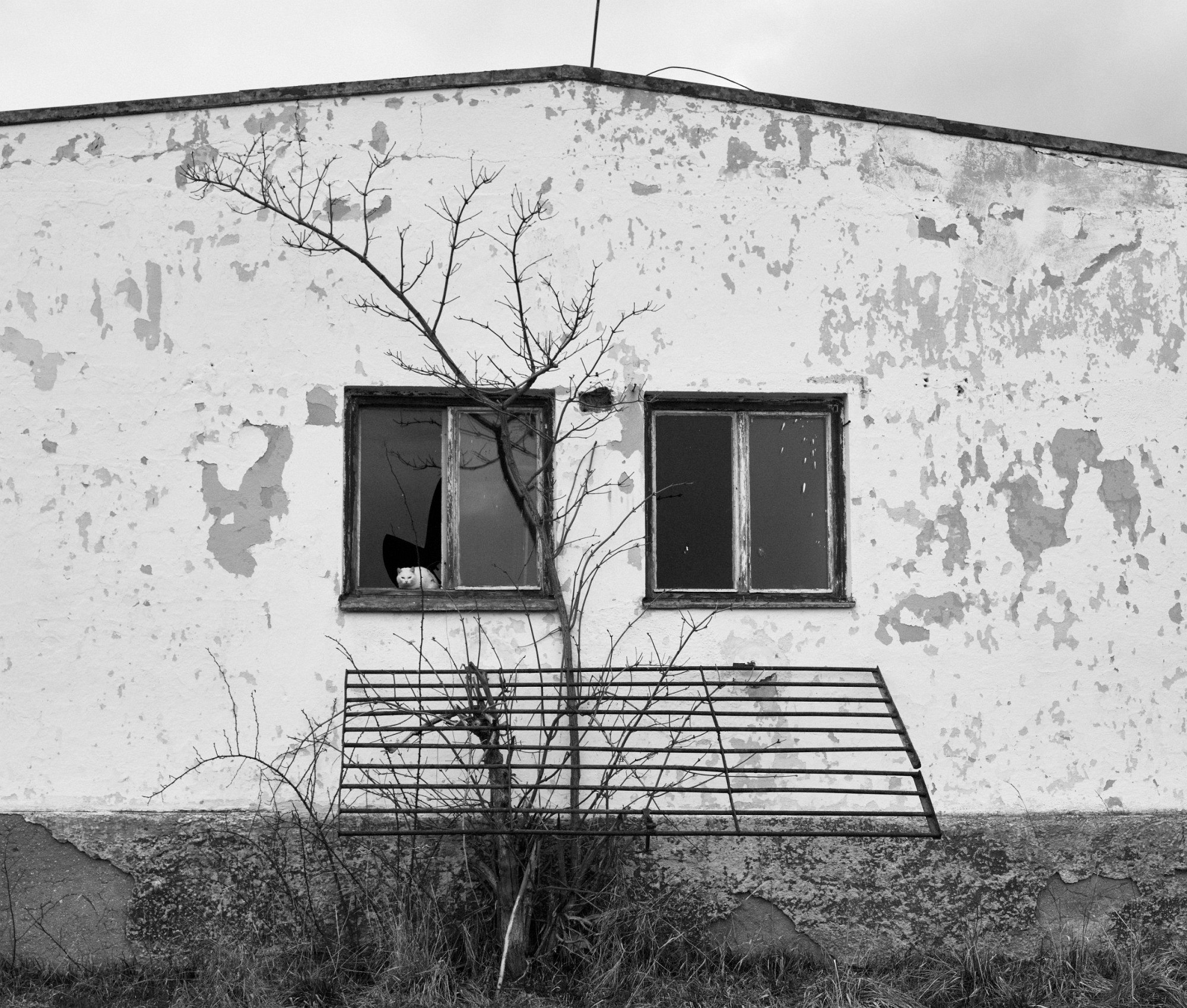 2018-04-01-00698-alb