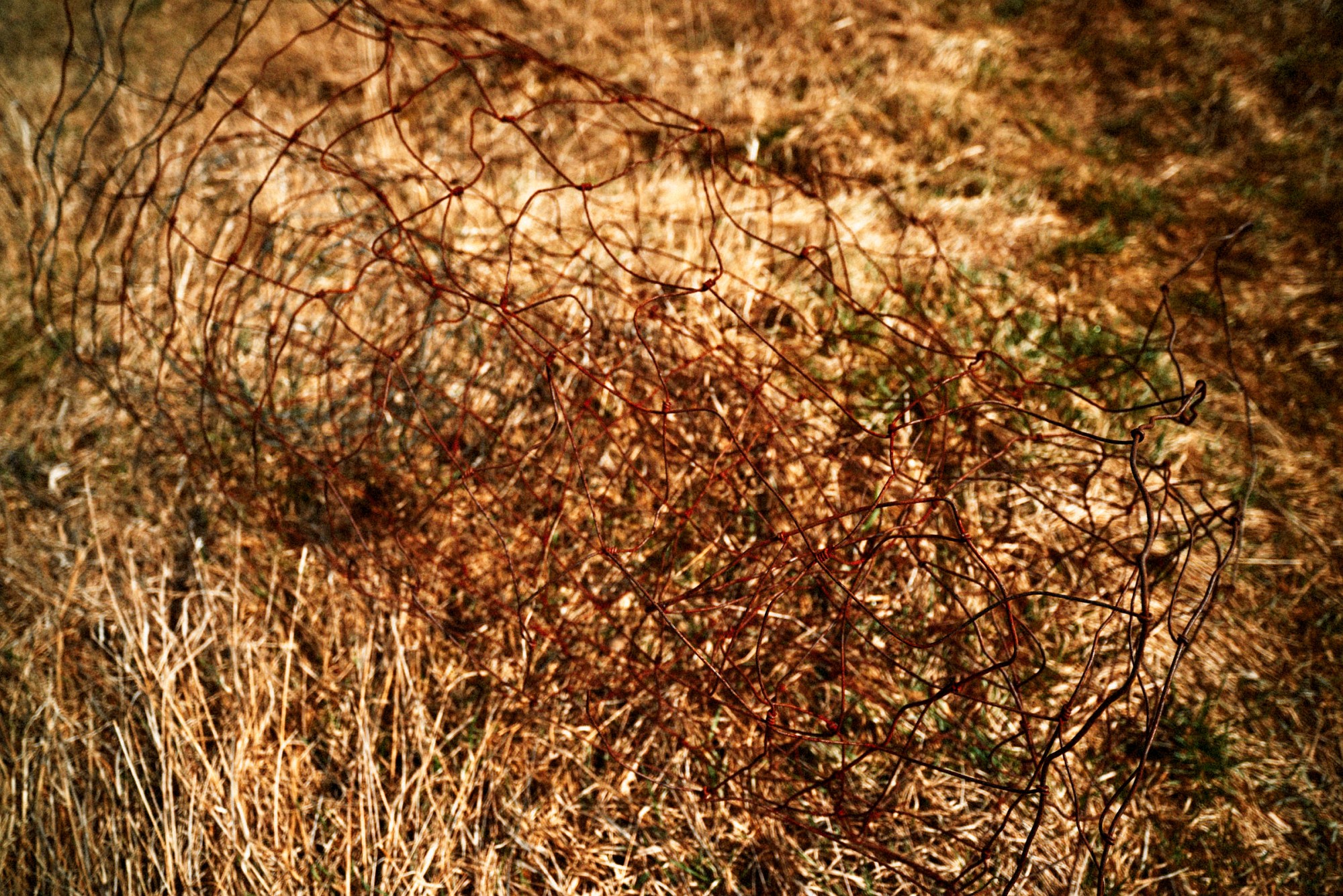 2018-04-01-00731-alb