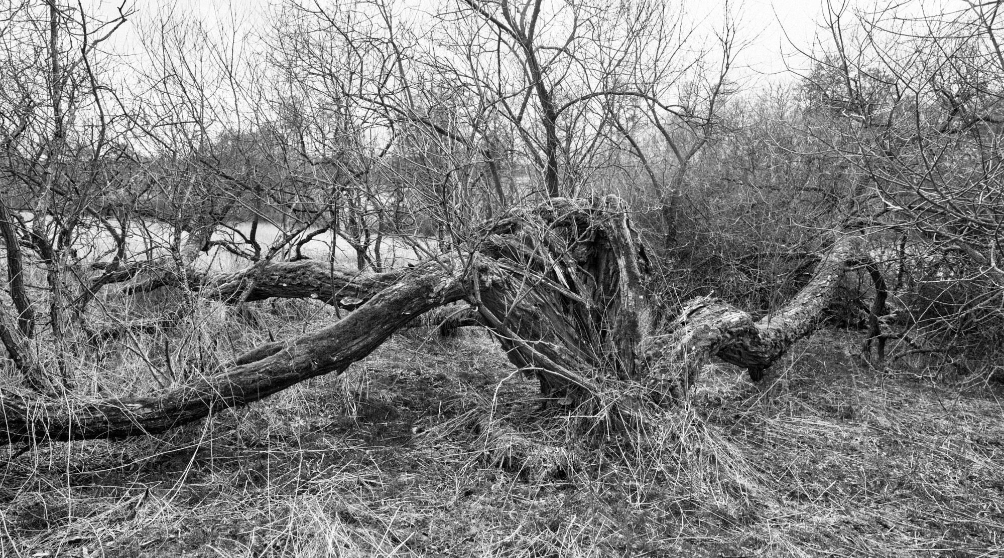 2018-04-01-00766-alb