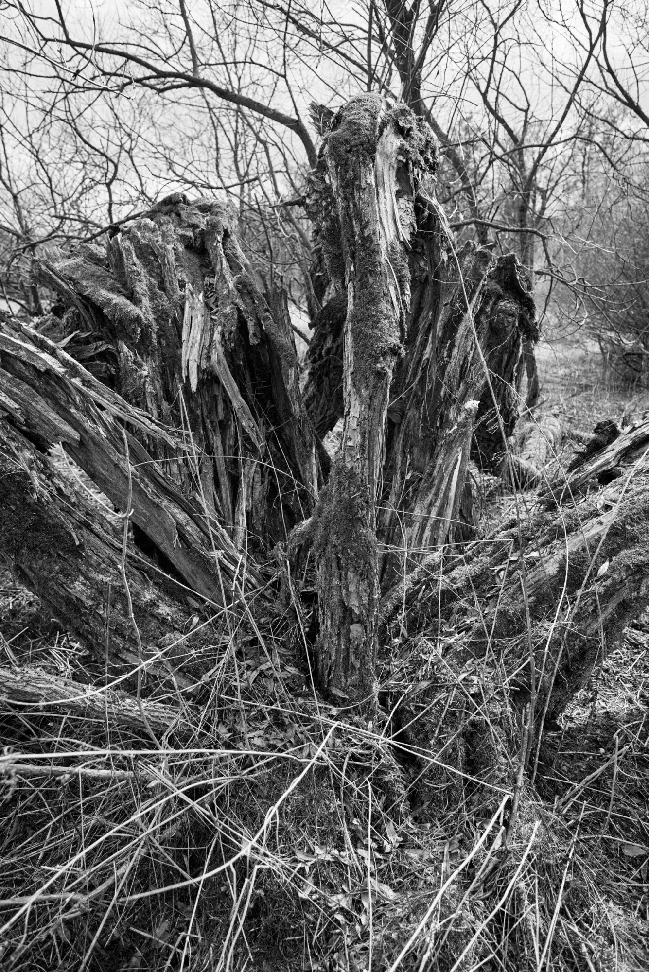 2018-04-01-00771-alb