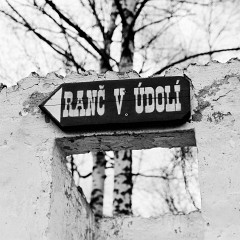 2018-04-01-00629-alb