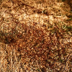 2018-04-01-00731-alb