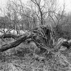 2018-04-01-00766-alb