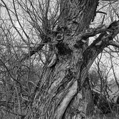 2018-04-01-00777-alb