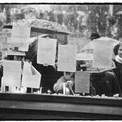 DSC2409 : Listopad 1989, Narodni