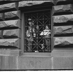 DSC2570 : Listopad 1989, Vaclavak