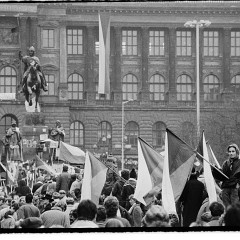 DSC2596 : Listopad 1989, Vaclavak