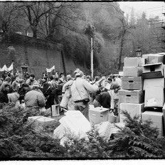 DSC2639 : Listopad 1989, vlada