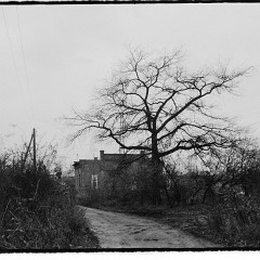 DSC2681 : Listopad 1989