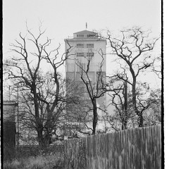 DSC2684 : Listopad 1989