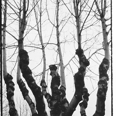 DSC2685 : Listopad 1989