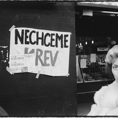 DSC2900 : Listopad 1989, Vaclavak