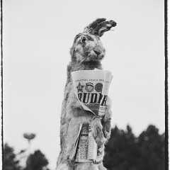 DSC2955 : Listopad 1989, Stalin