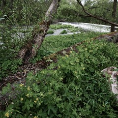 2019-05-12-01140-elog