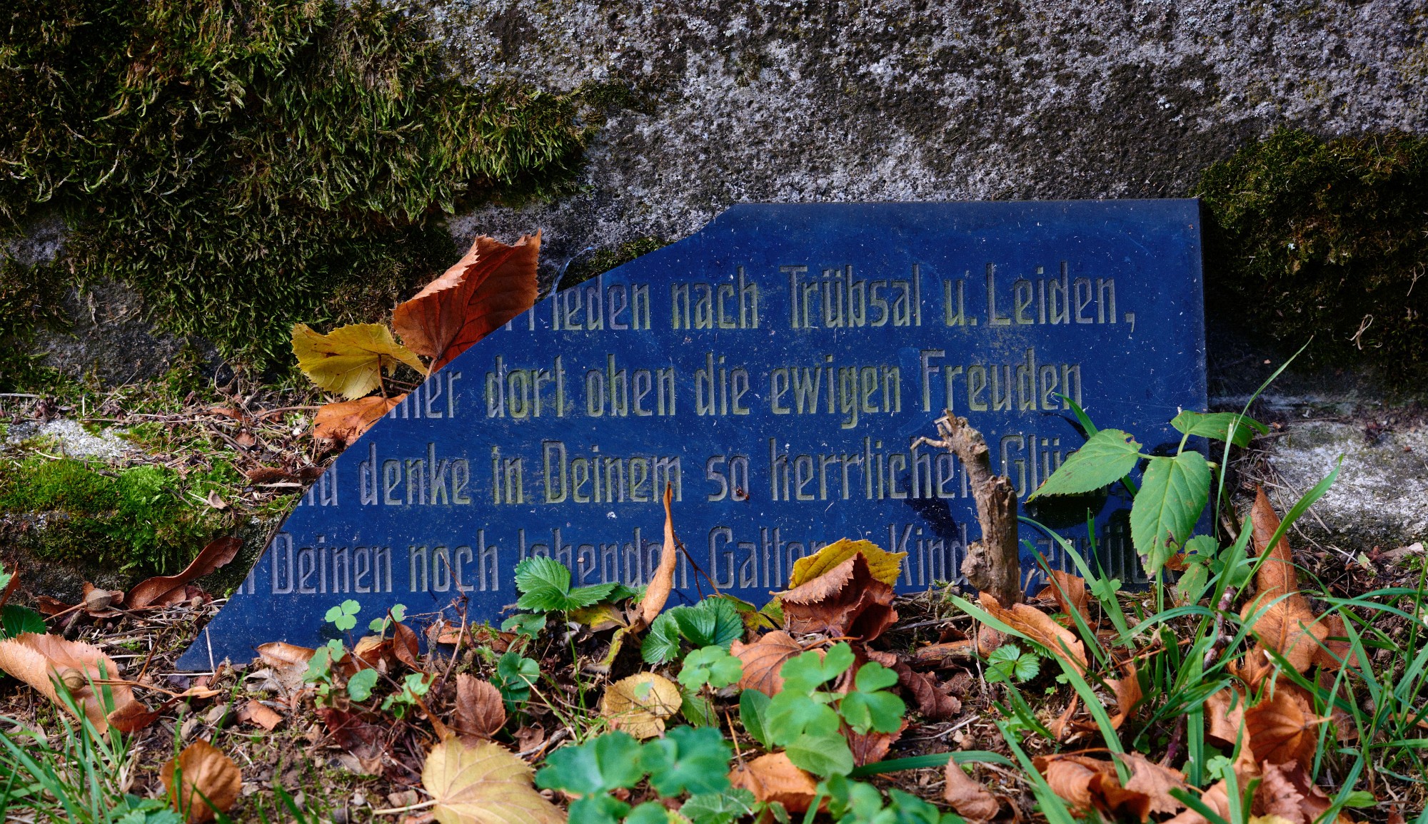 2019-09-29-03104-Exposure