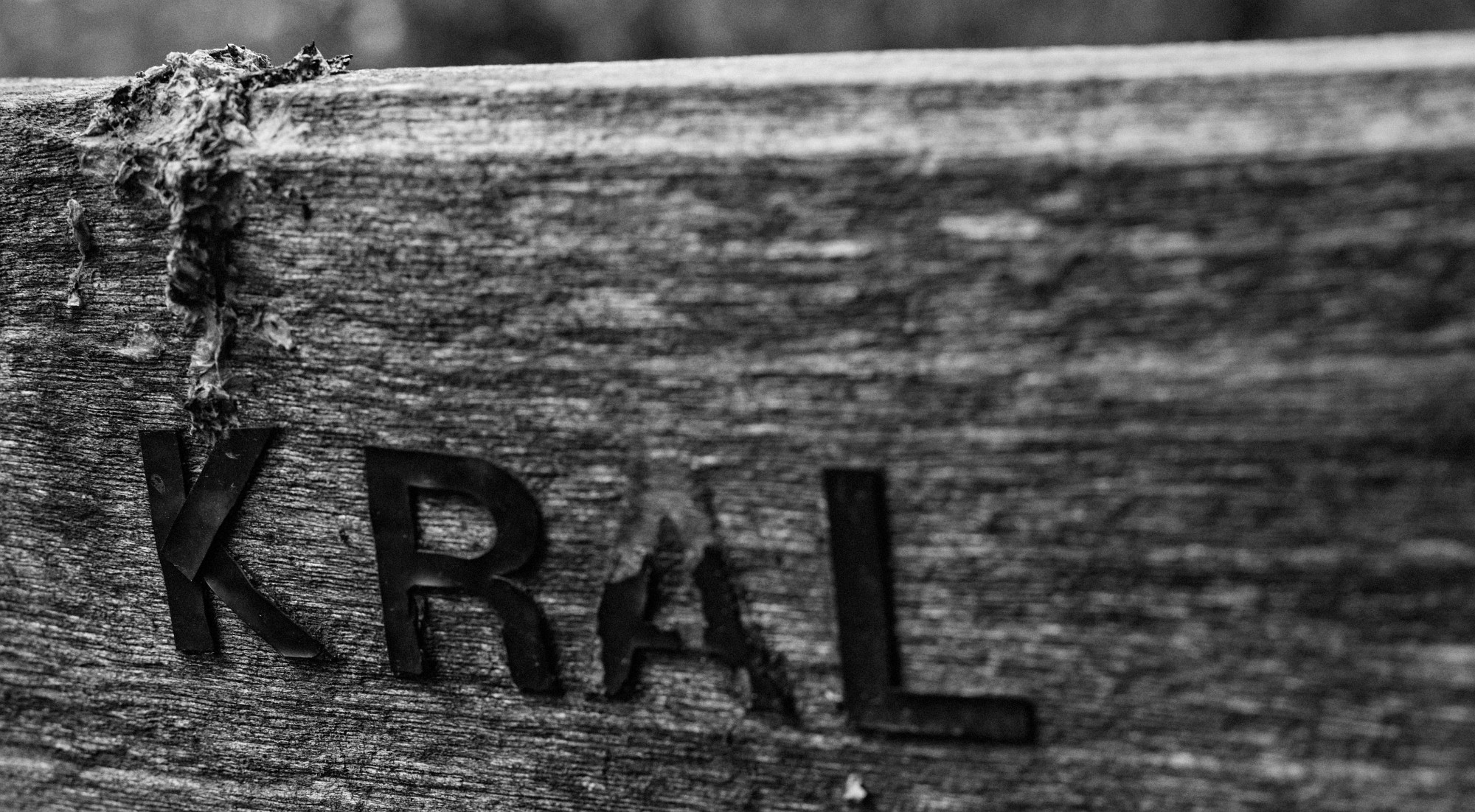 2019-09-29-03135-Exposure