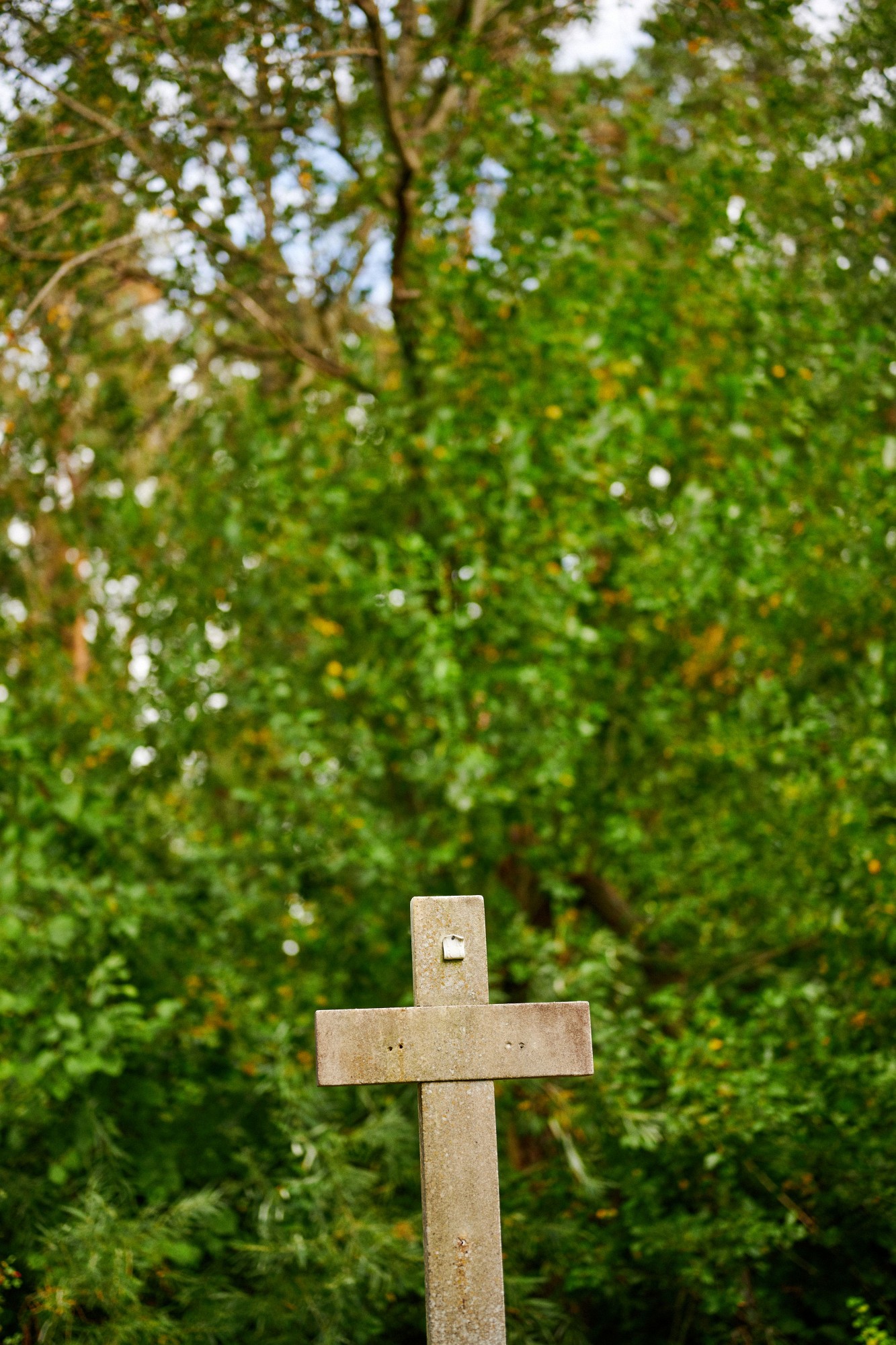 2019-09-29-03140-Exposure